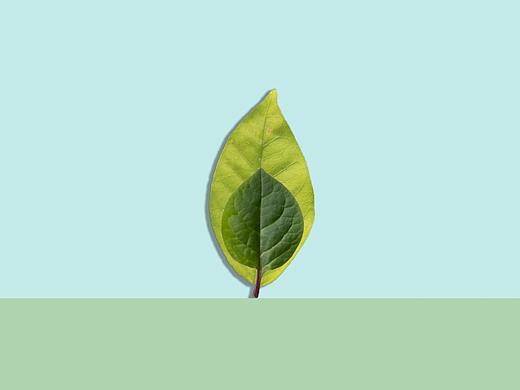 创意摄影（个人主页-ZNTExNDUxOTY=） - 产品摄影 - 站酷设计师方圆圆方原创素材 - 站酷ZCOOL