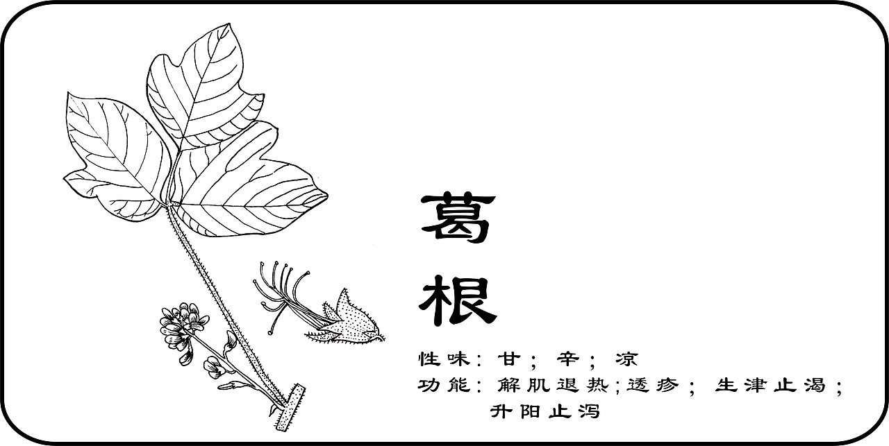 中草药手绘标示（图ZMzY3MzAyMDg=） - 创作习作 - 站酷设计师一二零七原创素材 - 站酷ZCOOL