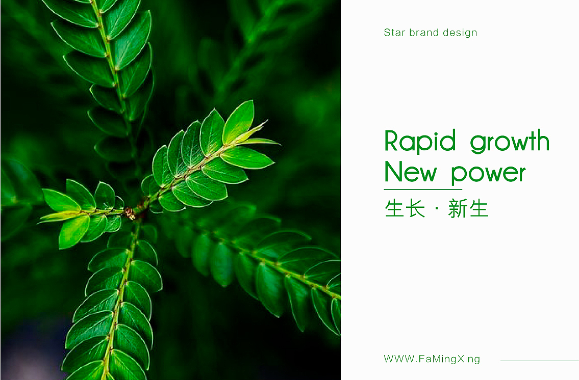 发明星品牌设计