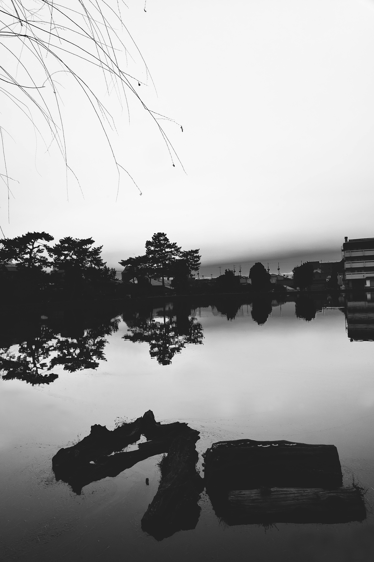 游记-日本-奈良