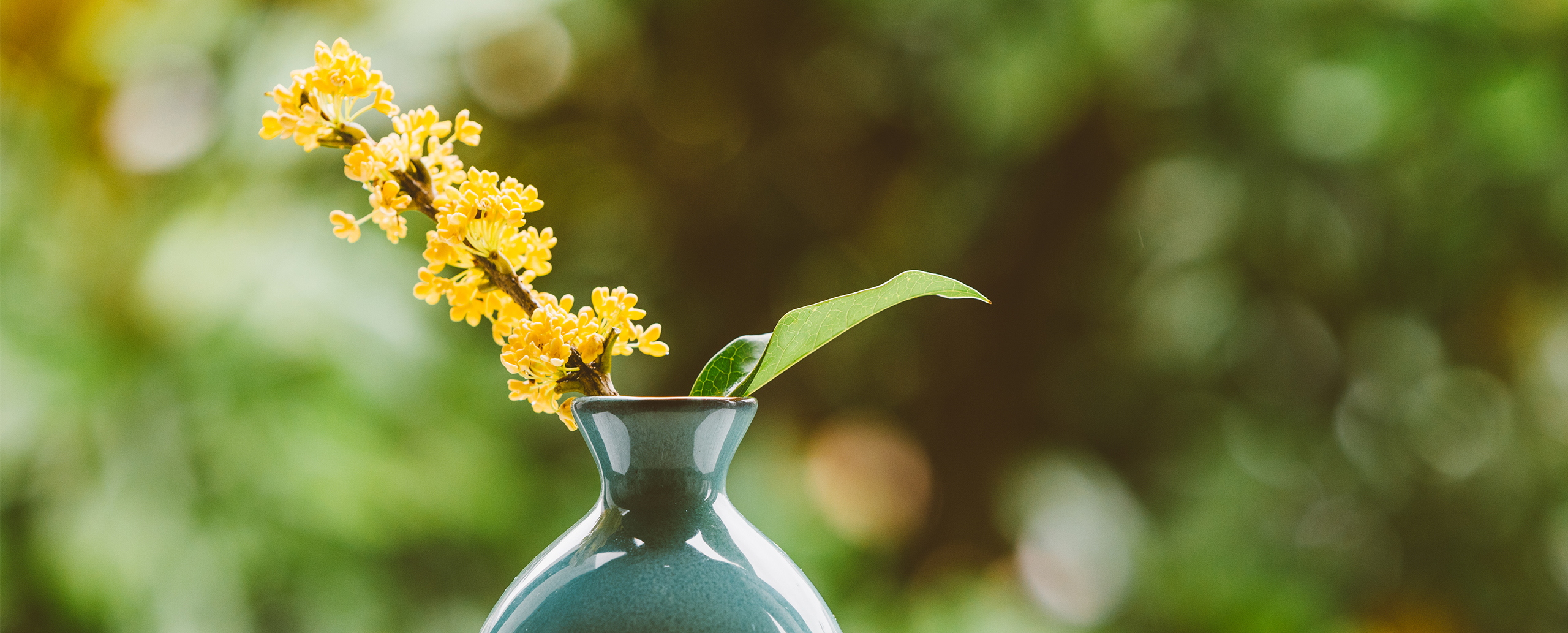 pi皮皮的个人主页（封面预览） - 主页封面设置 - 站酷设计师pi皮皮原创素材 - 站酷ZCOOL