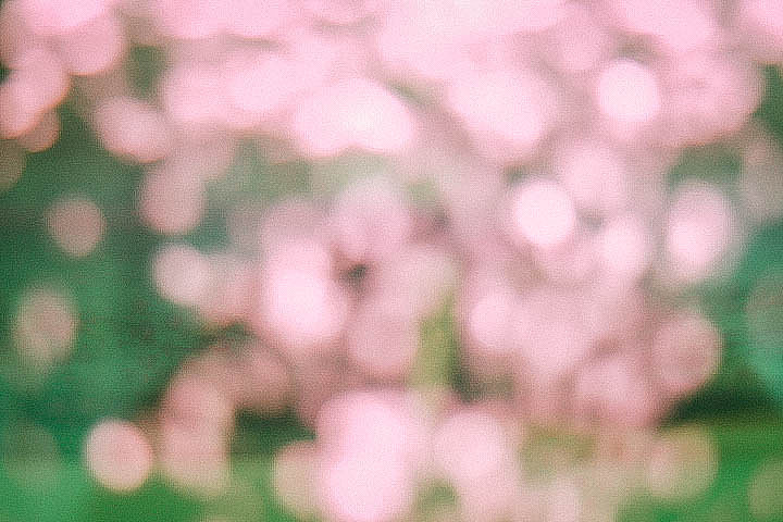 缺氧（图ZMTAzMjk3Nzky） - 宠物摄影 - 站酷设计师花酱紫啊原创素材 - 站酷ZCOOL