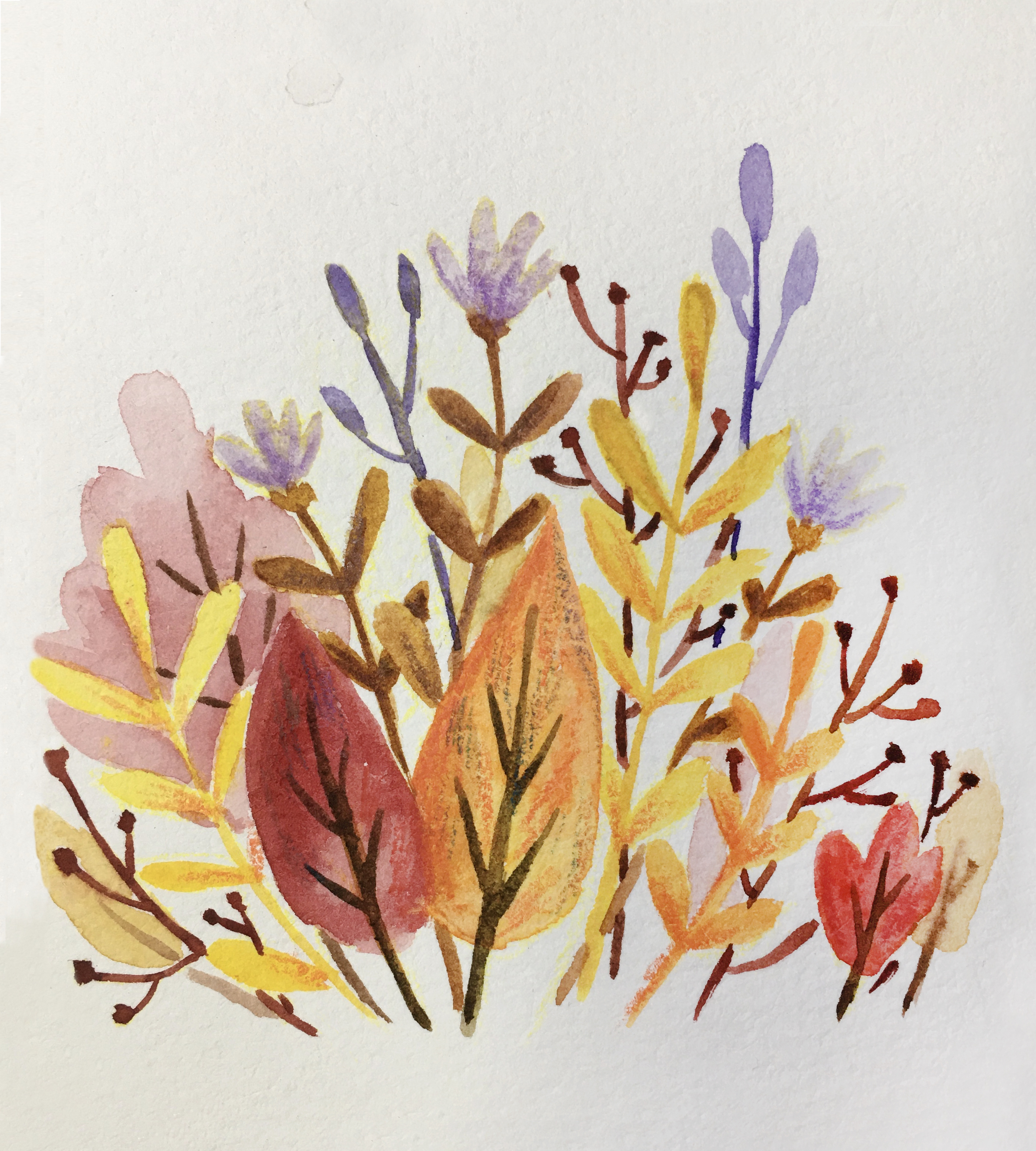 花花草草|插画|儿童插画|画画的雨林儿 - 原创作品 - 站酷 (zcool)