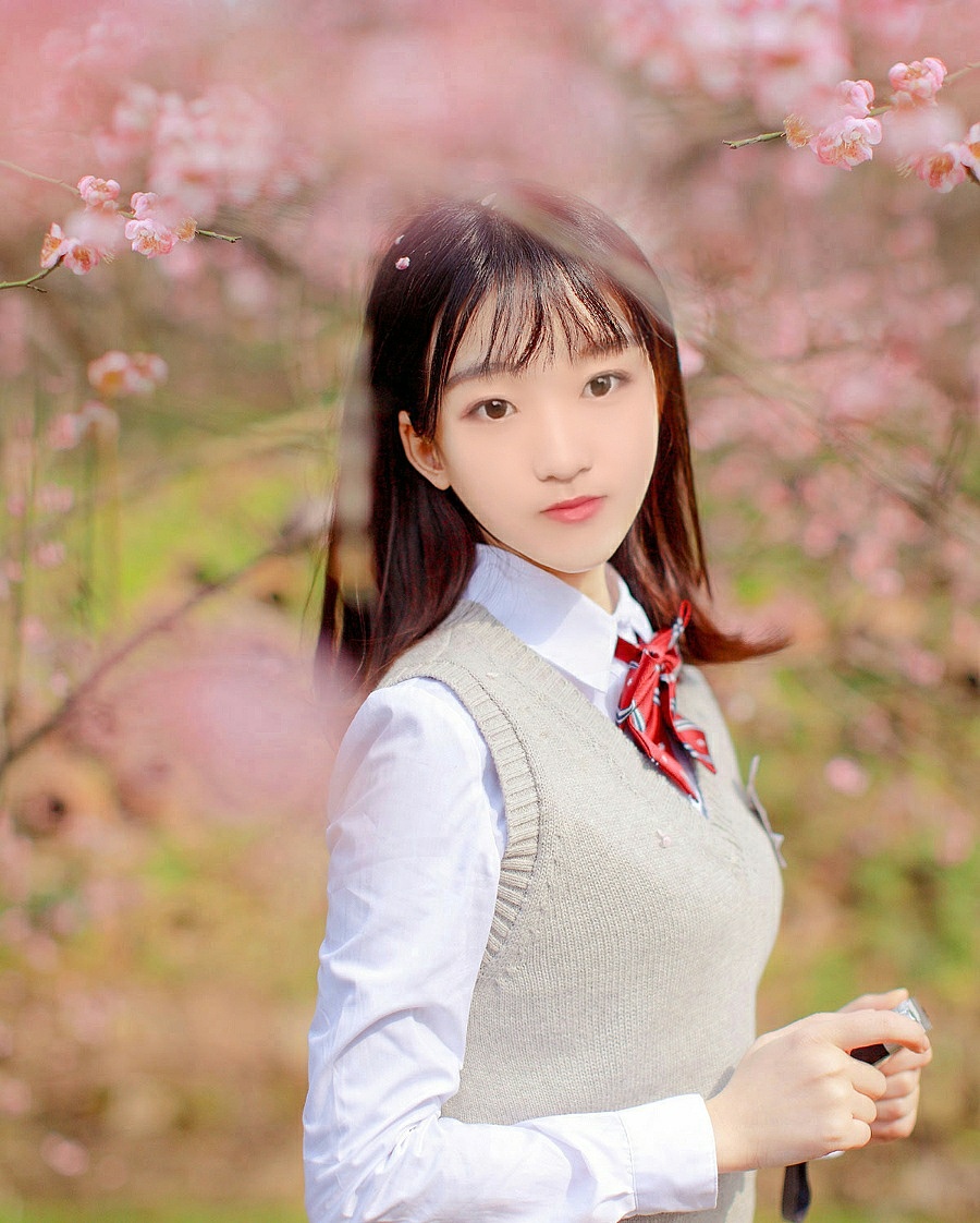 校园樱花树下才景(贰)