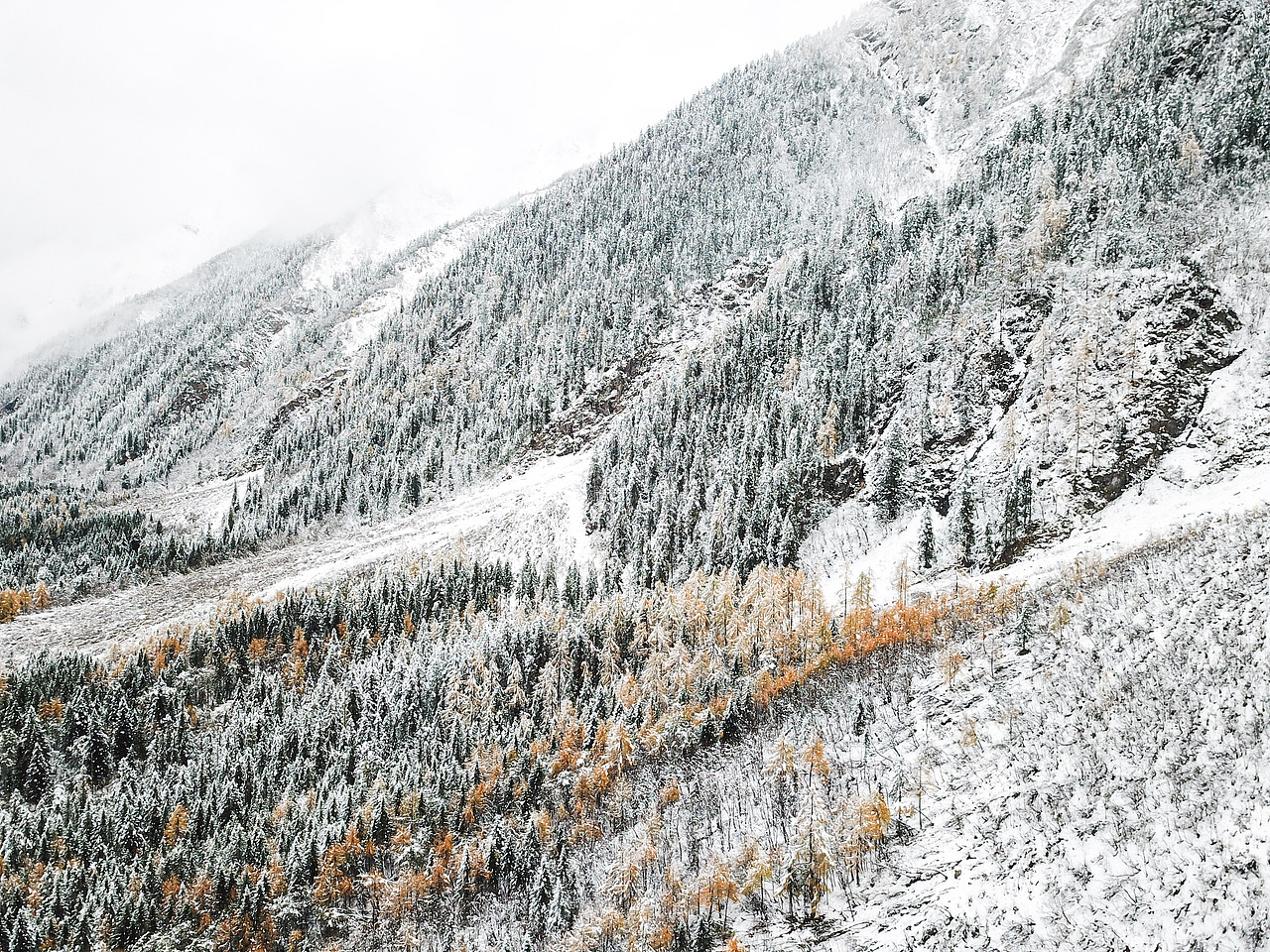 霸王山的野,值得征服