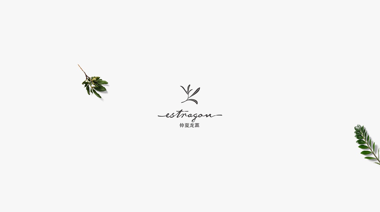 TORTOISE | 品牌集陆（图ZMTM2NDgxMzM2） - 品牌 - 站酷设计师反光品牌Studio原创素材 - 站酷ZCOOL