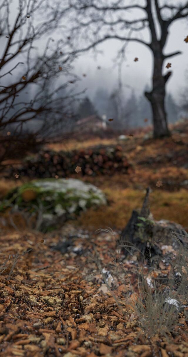 OC第二期学员作品——NiaoNiao的C4D课堂（上）（图ZMTQyMjQzNTQ0） - 场景 - 站酷设计师我就是NiaoNiao原创素材 - 站酷ZCOOL