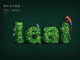 不同種類平面效果