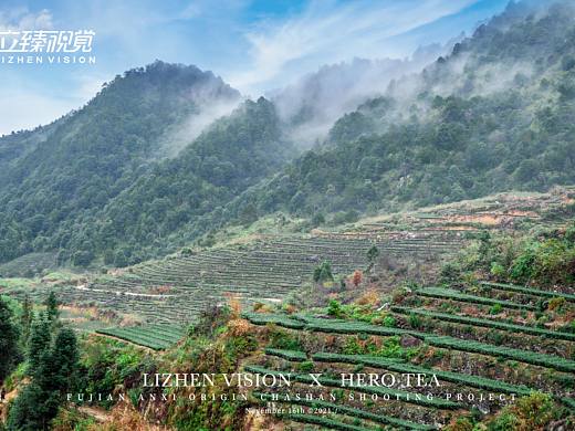 茶山拍摄丨英歌魂·安溪茶园 X 立臻视觉