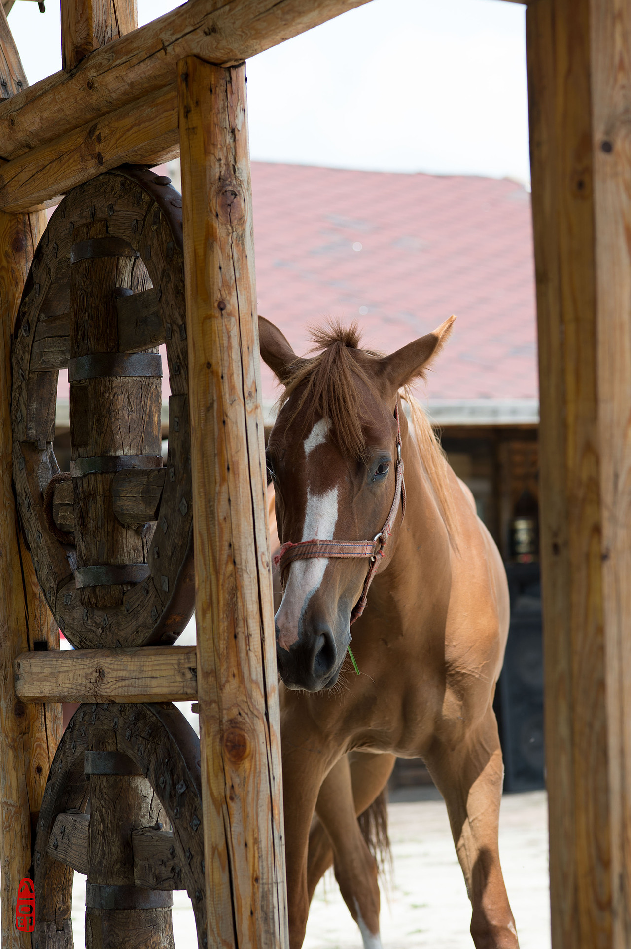 传奇庄园（图ZODkyMTQ4ODg=） - 建筑设计 - 站酷设计师高端酒店设计公司原创素材 - 站酷ZCOOL