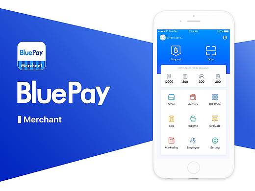 BluePay Merchant（个人主页-ZMjY3Nzk3MzI=） - APP界面 - 站酷设计师LLLLLLiu原创素材 - 站酷ZCOOL