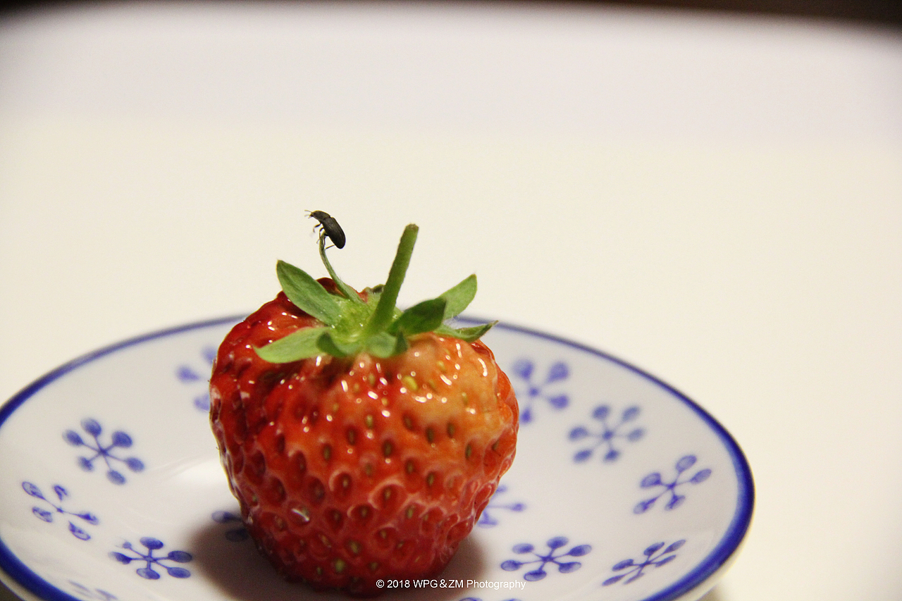 《 小虫与草莓 》