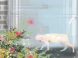 喵崽