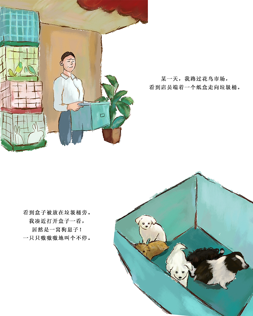 狗这一辈子