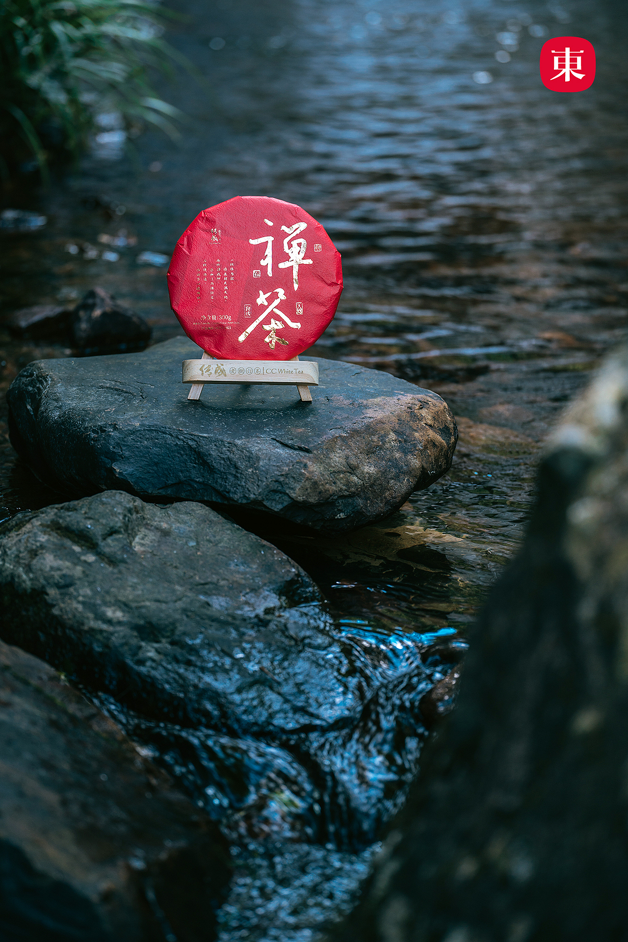 【东集tonji】传成白茶禅茶一味福鼎白茶寿眉茶饼福州/摄影师/2年前