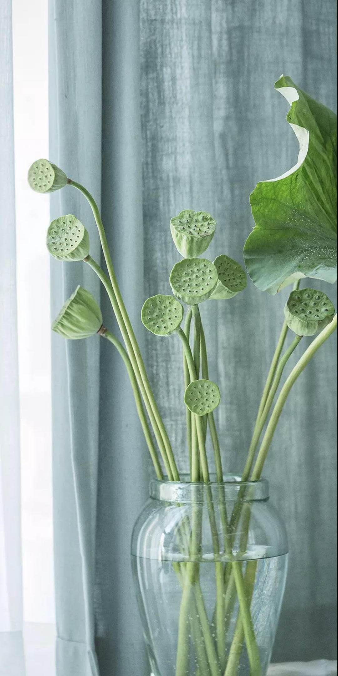 半衫的個人主頁（背景預覽） - 主頁背景設置 - 站酷設計師半衫原創(chuàng)素材 - 站酷ZCOOL