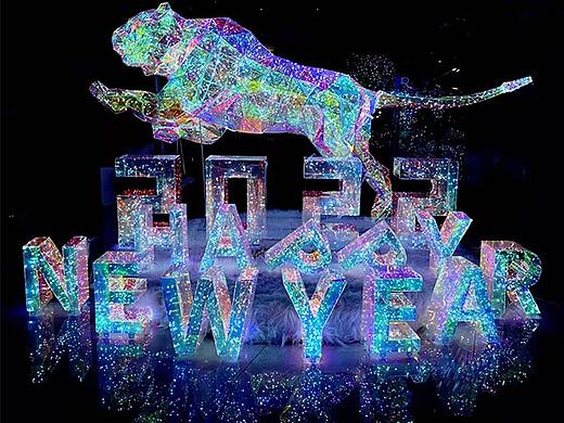 虎年户外大型灯光造型摆件 新年元旦街区灯光装饰亮化