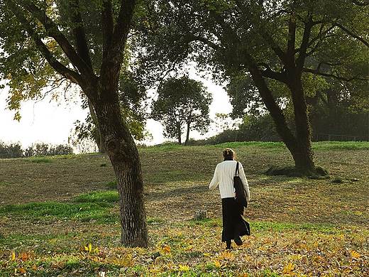 和小石在12月的良渚遇到了秋天
