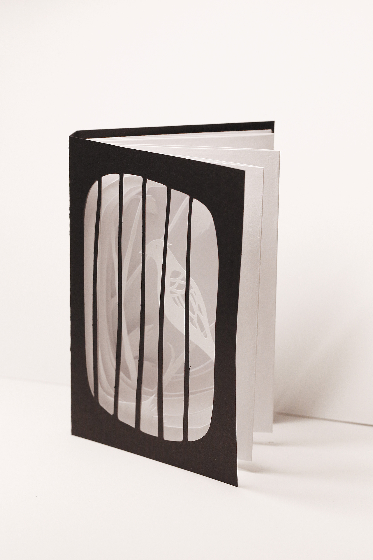 《自由》概念书籍设计