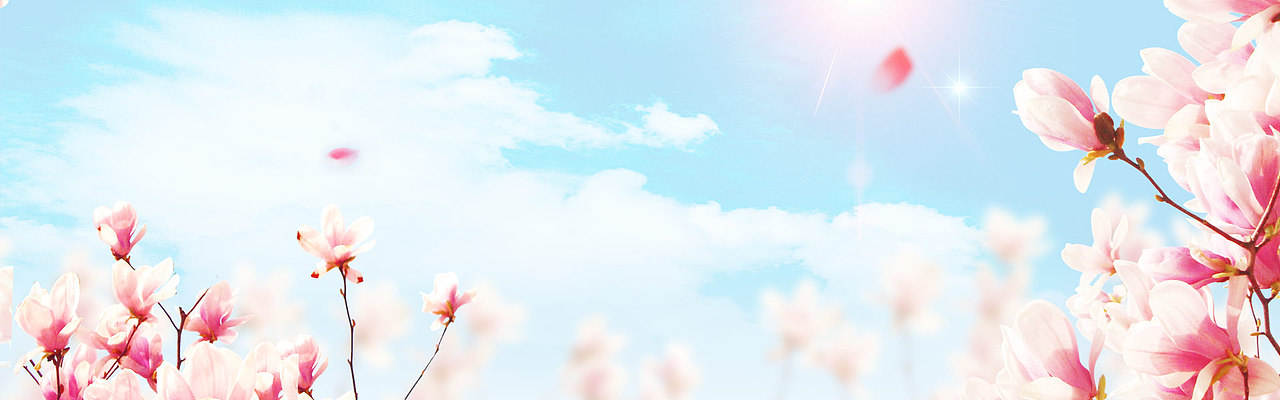 banner花背景