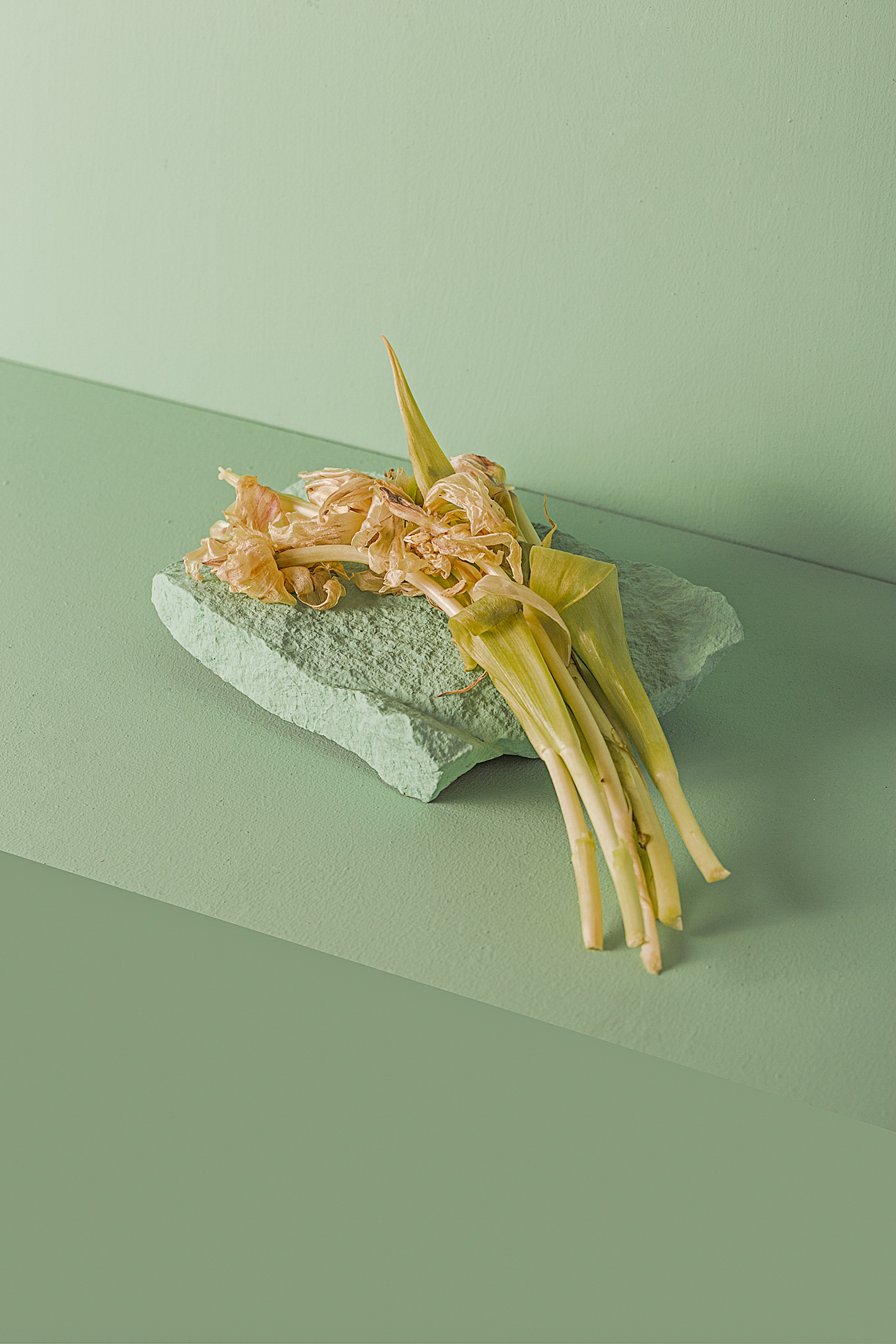 绿/花（图ZMTgzMTc4ODEy） - 产品摄影 - 站酷设计师刘佩相_koto原创素材 - 站酷ZCOOL