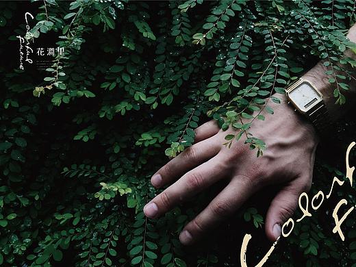 vi（個(gè)人主頁-ZMzQ2MDgwNjA=） - 品牌 - 站酷設(shè)計(jì)師喵了個(gè)咪de原創(chuàng)素材 - 站酷ZCOOL