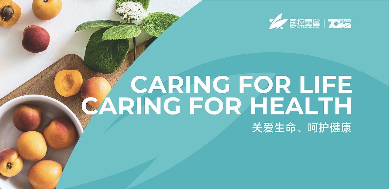 国控星鲨LOGO设计及70年徽标设计