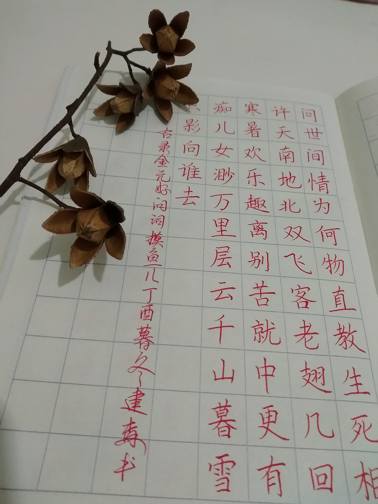 硬笔书法·楷书(10张图片)