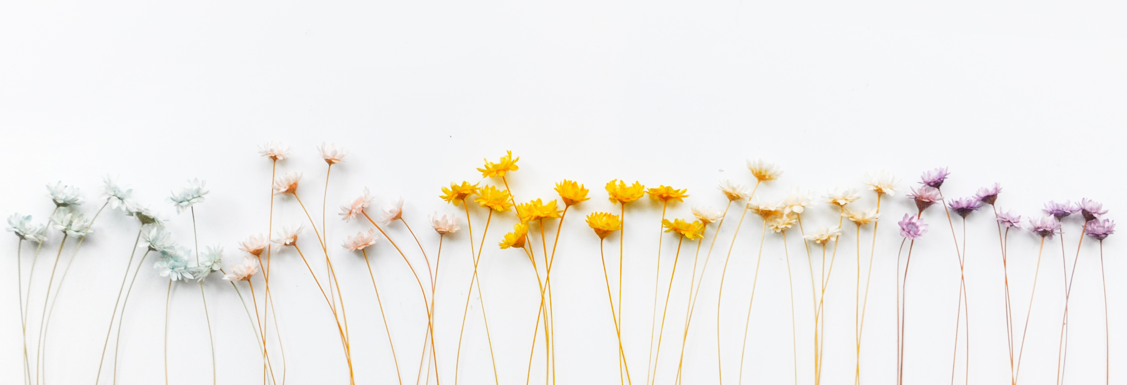 韩哆哆的个人主页（封面预览） - 主页封面设置 - 站酷设计师韩哆哆原创素材 - 站酷ZCOOL