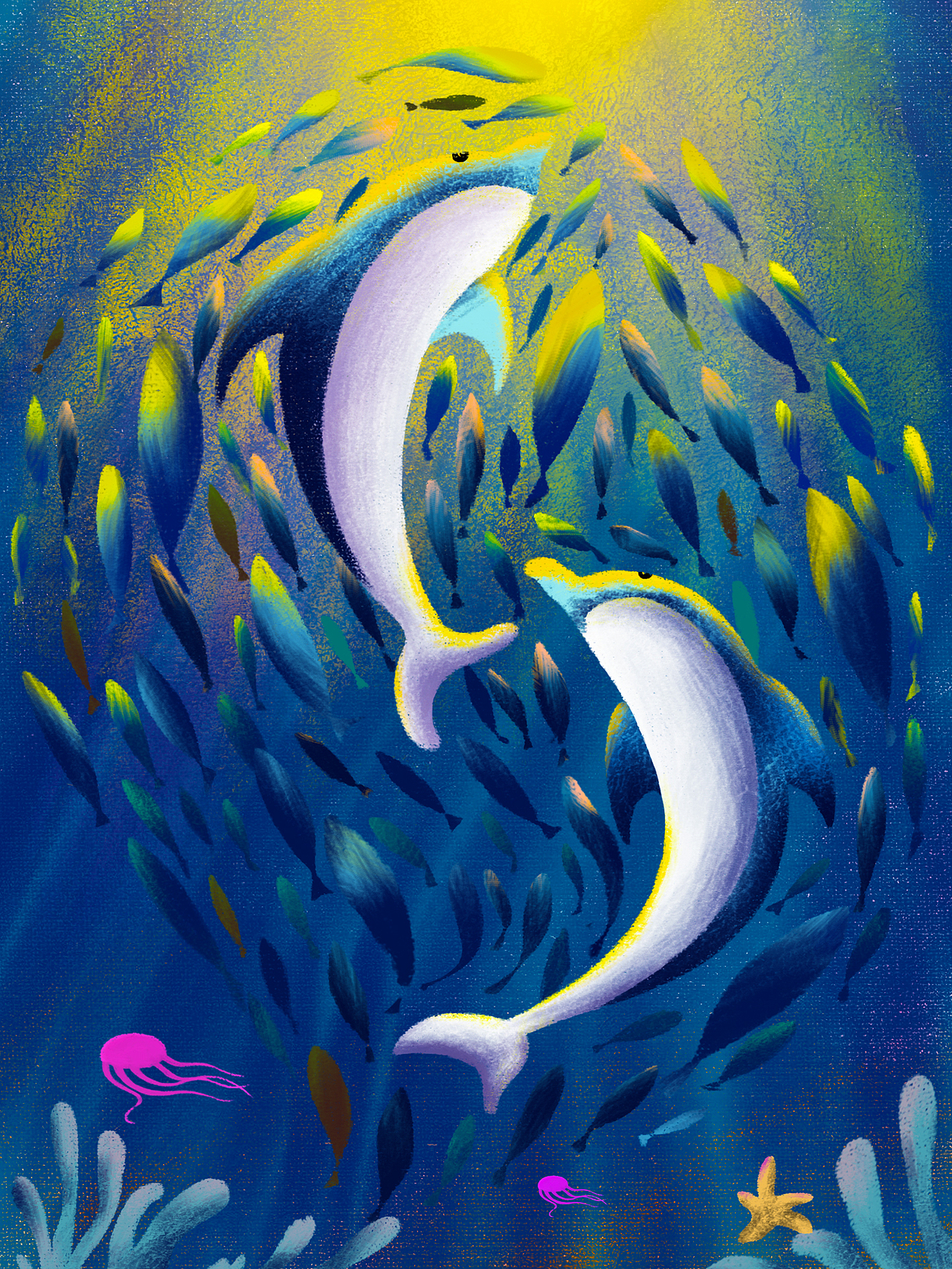 外面得世界海底世界的一束光插画