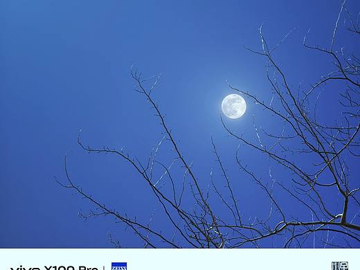 今晚的月色真美