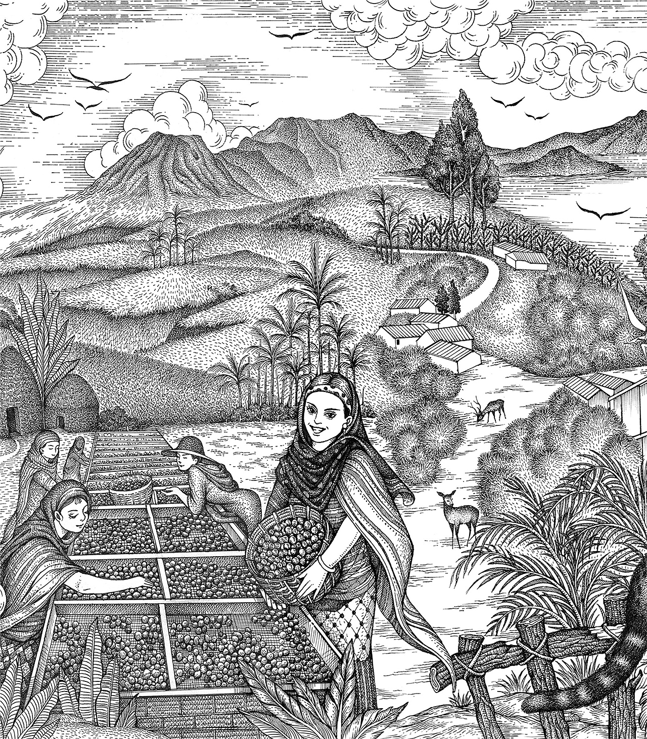 瑞幸精品挂耳咖啡包装系列插画设计（图ZMjE3Njk4NDQ4） - 商业插画 - 站酷设计师张贇ILLUSTRATION原创素材 - 站酷ZCOOL