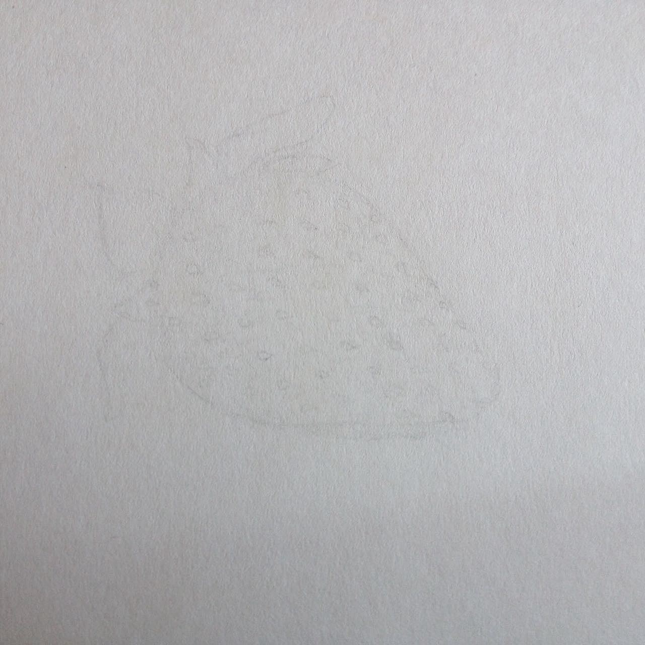 【彩铅教程】甜甜草莓