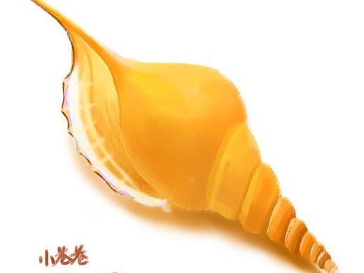 小元素-贝壳