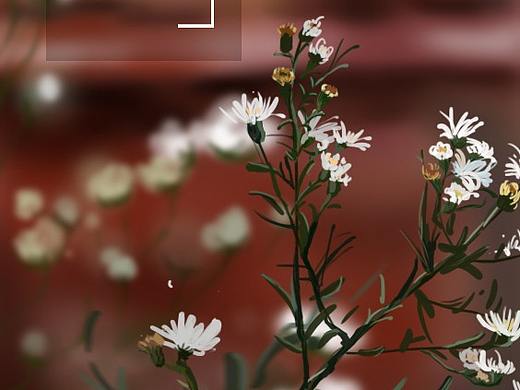 意境小雏菊