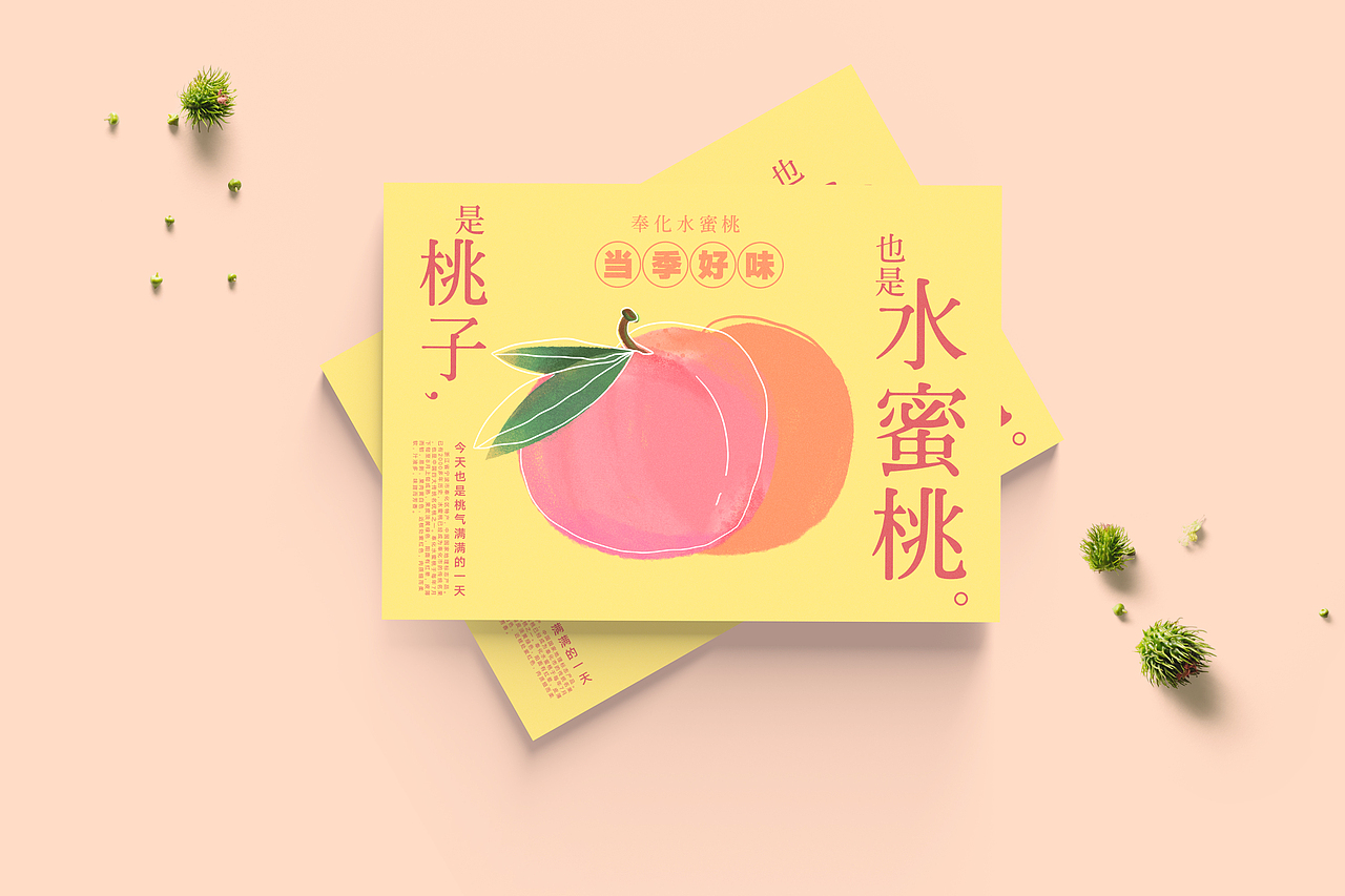 时光鲜果——水蜜桃包装设计