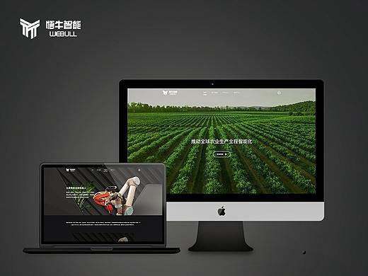青岛悟牛智能科技官网设计总结
