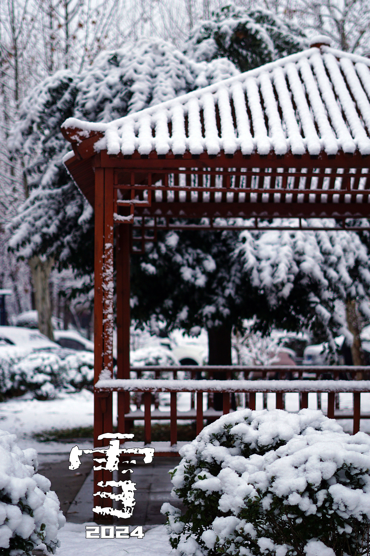 邯郸丨2024年的第一场雪