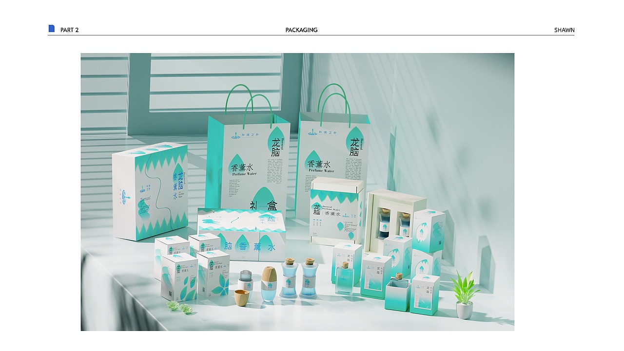 2023视觉传达个人作品集