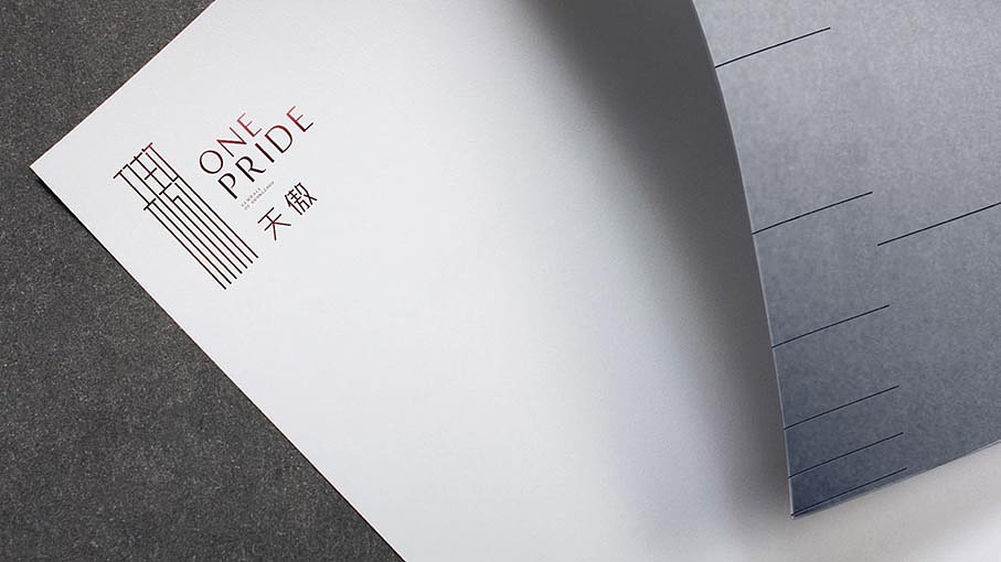 天傲视觉系统（图ZMTA3MjQ1ODg0） - Logo - 站酷设计师chinsam原创素材 - 站酷ZCOOL