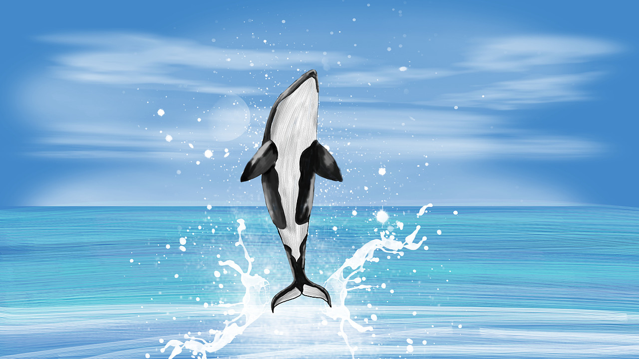 最近的一些ps绘图|插画|艺术插画|candyricecyy_原创作品-站酷zcool