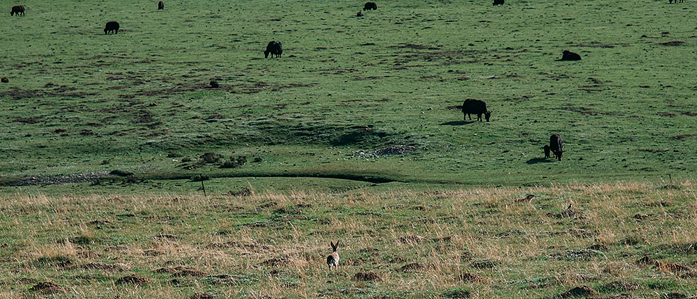 8683KM | 我们的公路计划/ 自驾纪实公路片（图ZNTUyODIwNTY=） - 风光摄影 - 站酷设计师BINL2020原创素材 - 站酷ZCOOL