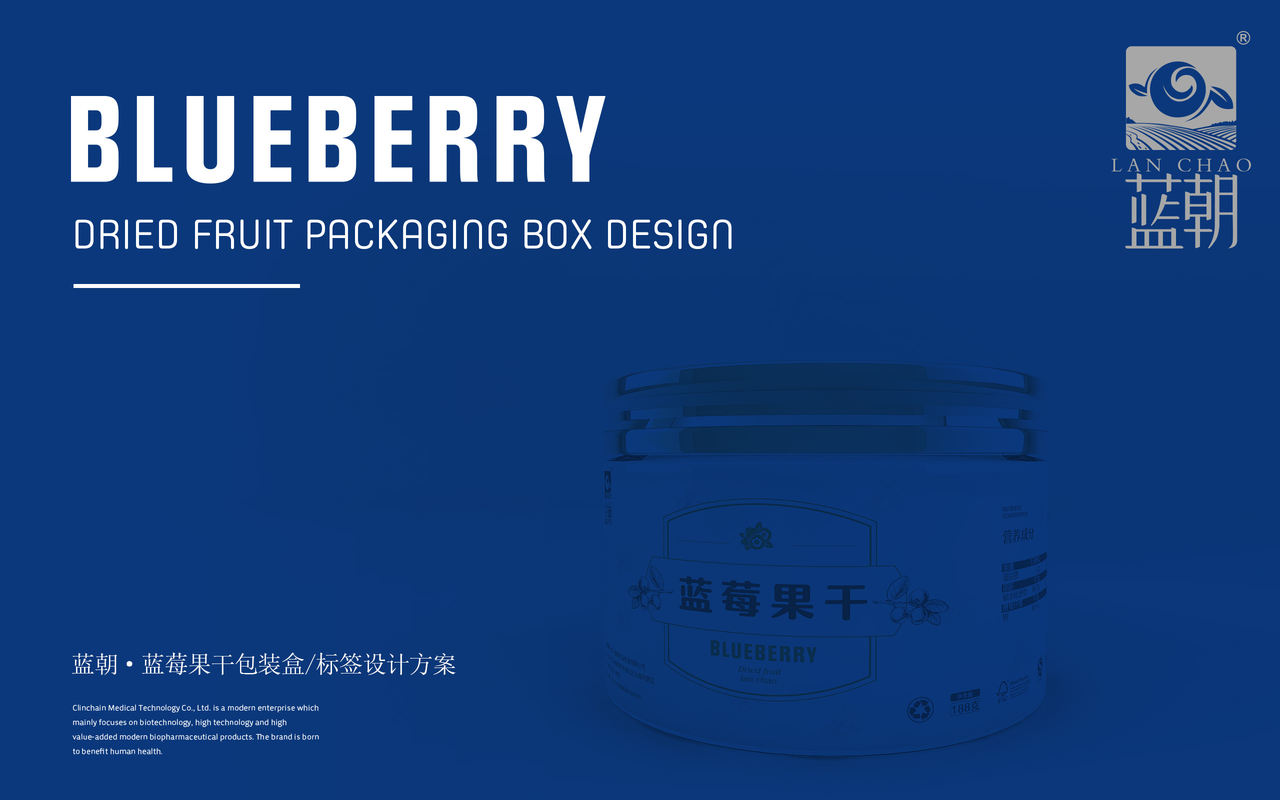 蓝朝蓝莓果干品牌包装设计