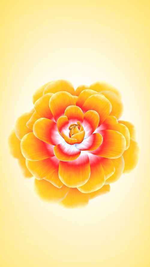 手机屏幕壁纸设计