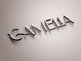 感受来自异域的独特的花朵植物英文字体设计