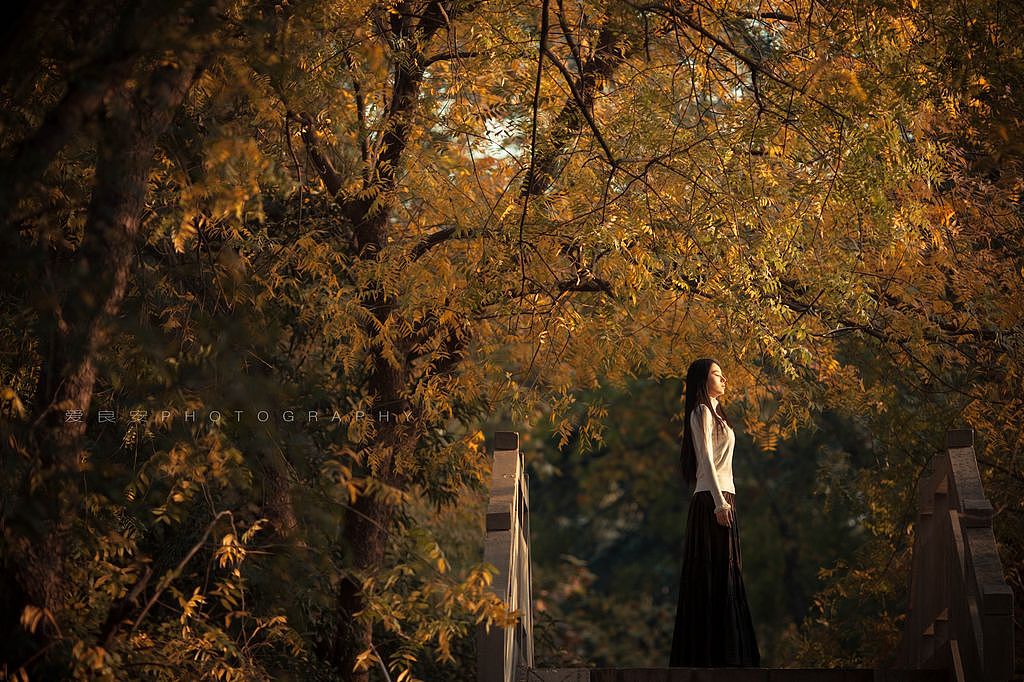 秋歌【爱良安人像】