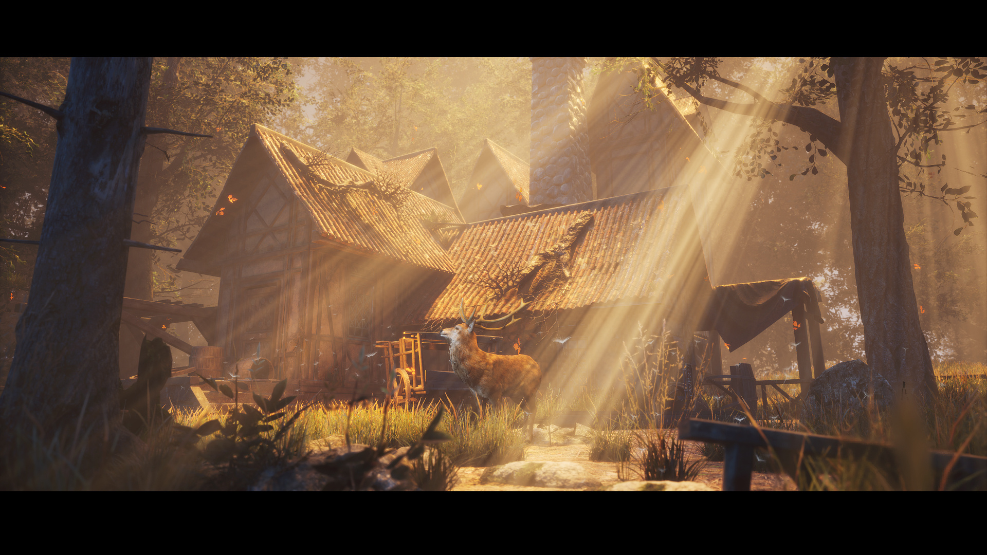 ue4动画场景 - forest|三维|场景|noverx - 原创作品 - 站酷 (zcool)