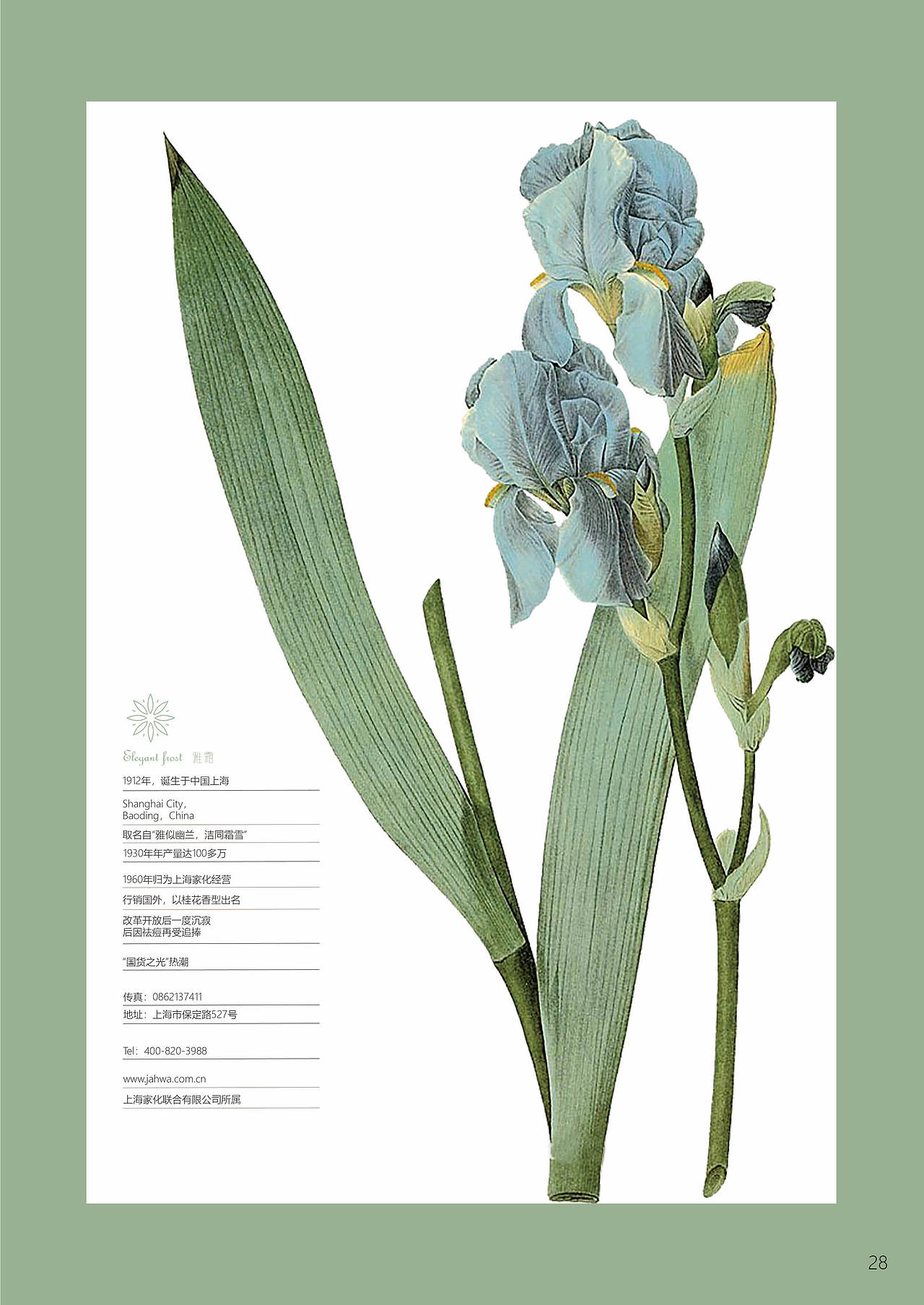 《雅霜》-品牌设计（图ZMjI3MjIwMDE2） - 书籍/画册 - 站酷设计师戚戚戚可原创素材 - 站酷ZCOOL