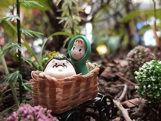 世界那么大,看看就看看