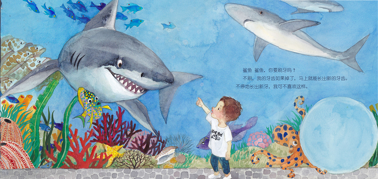 鲨鱼宝宝绘本图片